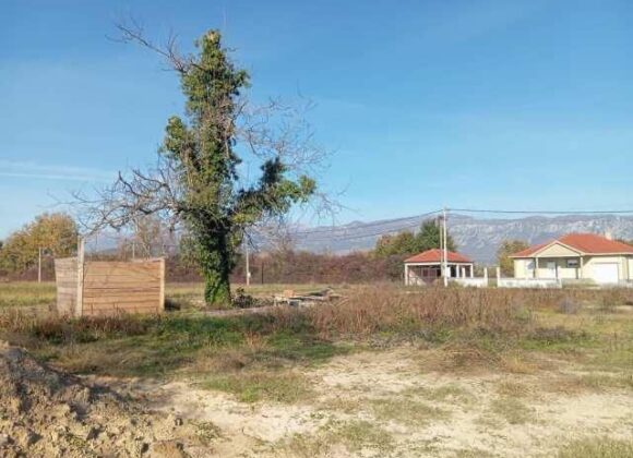 Urbanized land plot. Danilovgrad