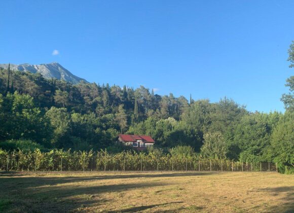 Land plot with panoramic views. Zupci (Bar)